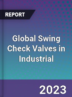 Global Swing Check Valves in Industrial Market
