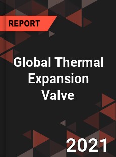 Global Thermal Expansion Valve Market