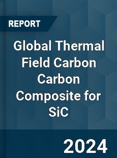 Global Thermal Field Carbon Carbon Composite for SiC Industry