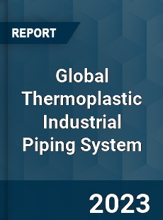 Global Thermoplastic Industrial Piping System Industry