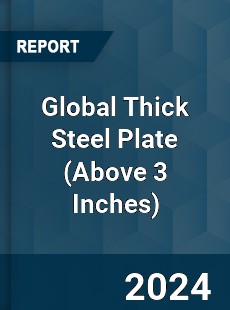 Global Thick Steel Plate Industry