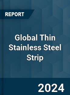 Global Thin Stainless Steel Strip Industry