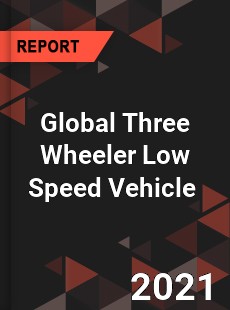 Global Three Wheeler Low Speed Vehicle Market