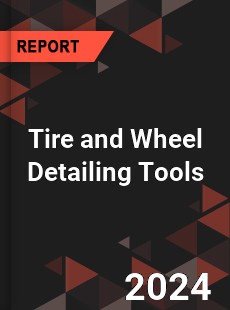 Global Tire and Wheel Detailing Tools Outlook