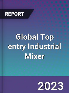 Global Top entry Industrial Mixer Market