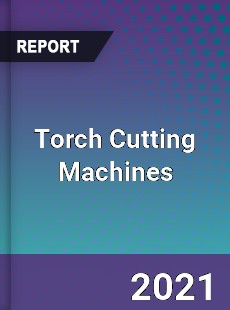 Global Torch Cutting Machines Professional Survey Report