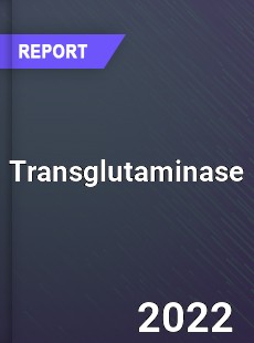 Global Transglutaminase Market