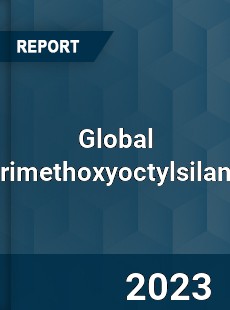 Global Trimethoxyoctylsilane Industry