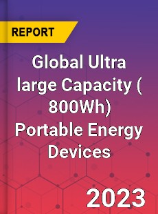 Global Ultra large Capacity Portable Energy Devices Industry