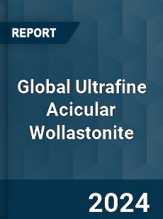 Global Ultrafine Acicular Wollastonite Industry