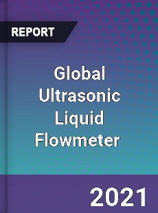 Global Ultrasonic Liquid Flowmeter Market