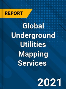 Global Underground Utilities Mapping Services Market