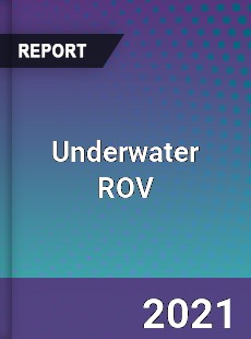 Global Underwater ROV Professional Survey Report