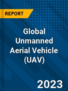 Global Unmanned Aerial Vehicle Market