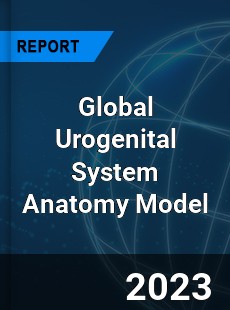 Global Urogenital System Anatomy Model Industry