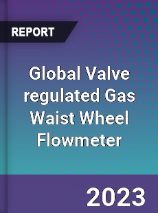 Global Valve regulated Gas Waist Wheel Flowmeter Industry