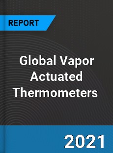 Global Vapor Actuated Thermometers Market