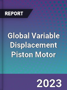 Global Variable Displacement Piston Motor Industry