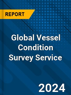 Global Vessel Condition Survey Service Industry