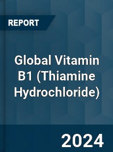 Global Vitamin B1 Industry