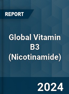 Global Vitamin B3 Industry