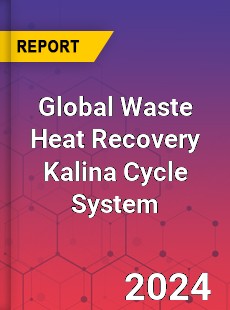 Global Waste Heat Recovery Kalina Cycle System Industry