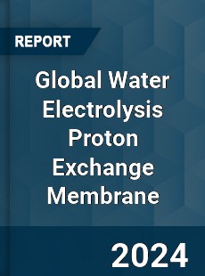 Global Water Electrolysis Proton Exchange Membrane Industry