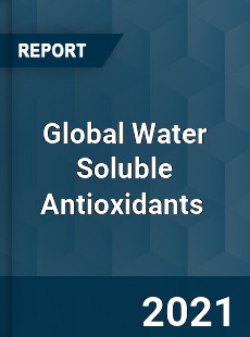 Global Water Soluble Antioxidants Market