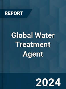 Global Water Treatment Agent Outlook