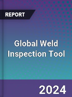 Global Weld Inspection Tool Industry