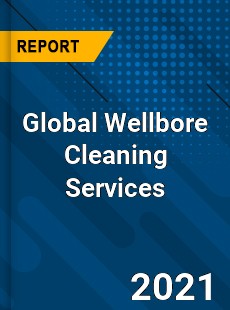 Global Wellbore Cleaning Services Market