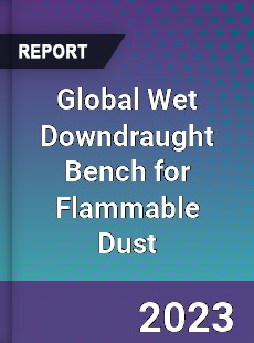 Global Wet Downdraught Bench for Flammable Dust Industry