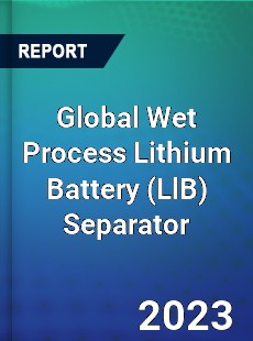 Global Wet Process Lithium Battery Separator Industry