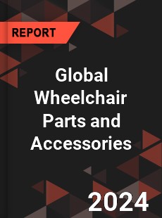 Global Wheelchair Parts and Accessories Industry