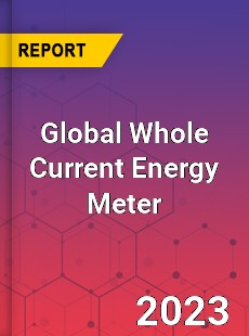 Global Whole Current Energy Meter Industry