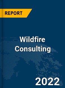 Global Wildfire Consulting Industry