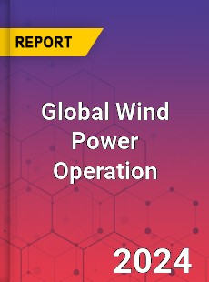 Global Wind Power Operation Industry