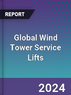 Global Wind Tower Service Lifts Industry