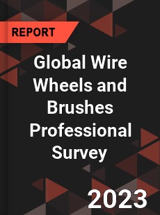 Global Wire Wheels and Brushes Professional Survey Report