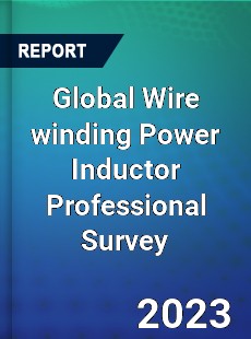 Global Wire winding Power Inductor Professional Survey Report