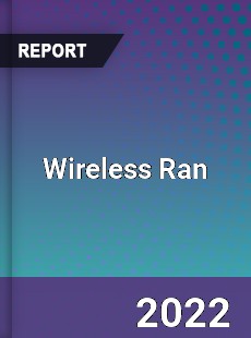 Global Wireless Ran Industry