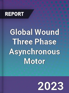 Global Wound Three Phase Asynchronous Motor Industry