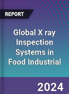 Global X ray Inspection Systems in Food Industrial Industry