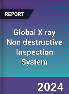 Global X ray Non destructive Inspection System Industry