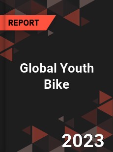 Global Youth Bike Industry