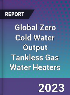 Global Zero Cold Water Output Tankless Gas Water Heaters Industry