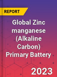 Global Zinc manganese Primary Battery Industry