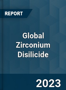 Global Zirconium Disilicide Industry