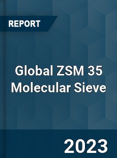 Global ZSM 35 Molecular Sieve Industry