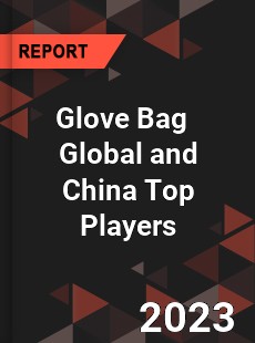 Glove Bag Global and China Top Players Market